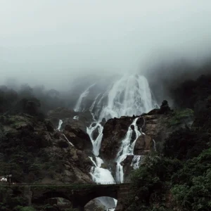 Dudhsagar Waterfall Package By Car